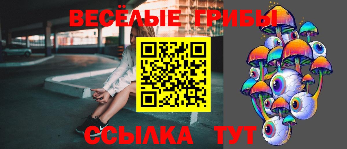 Аша  Псилоцибиновые грибы MAGIC MUSHROOMS  Псилоцибиновые грибы мицелий  Вход с VPN 